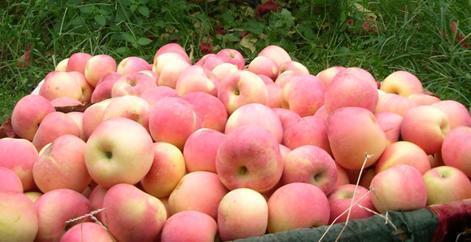 美丽女人的保养方法,美丽女人的美容养生