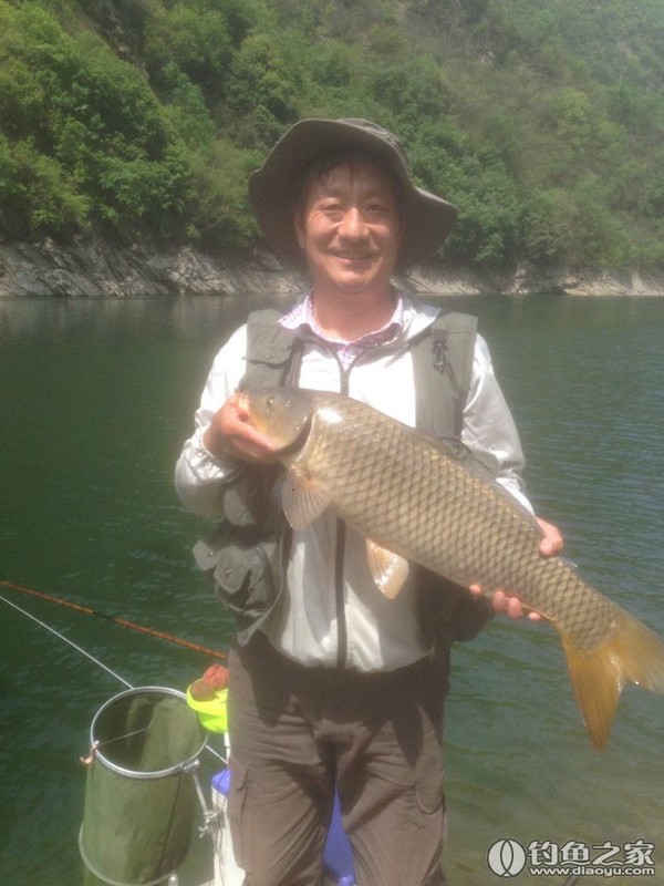 探钓野生鱼视频,探钓野生水库