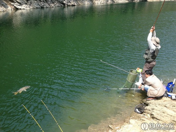 探钓野生鱼视频,探钓野生水库
