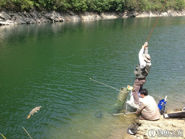 探钓野生鱼视频,探钓野生水库