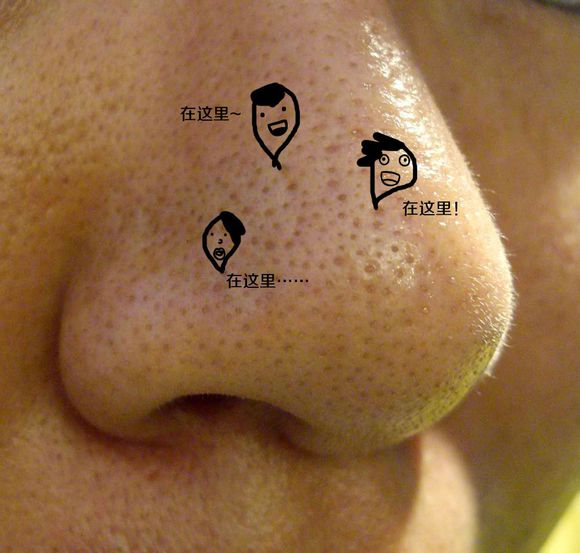 了解自己的脸部,脸部控油的最佳方法