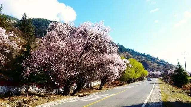 西藏林芝行一路风景如画,林芝最美小镇