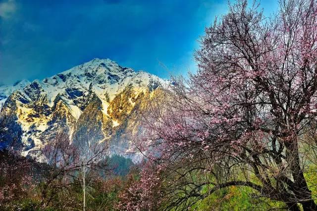 西藏林芝行一路风景如画,林芝最美小镇