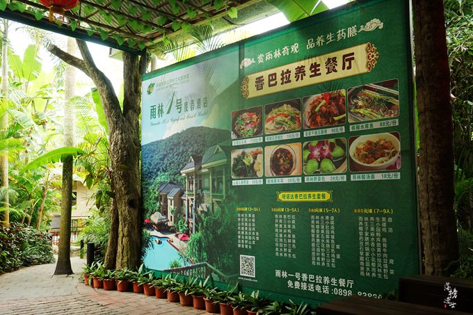 呀诺达，拾起我童年记忆的热带雨林