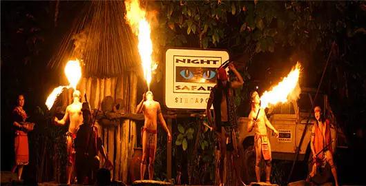 看动物的地方推荐,看动物去哪里的动物园最好