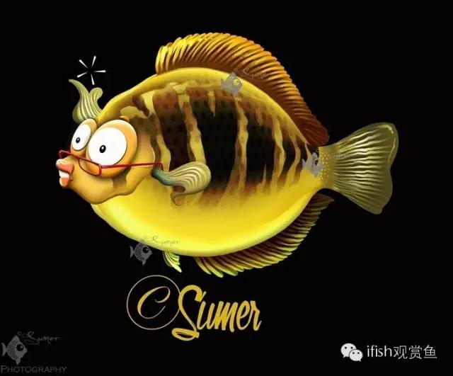 鱼超可爱卡通,鱼可爱卡通画