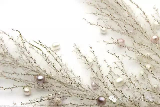 珍珠刚开始是硬的还是软的,珍珠一开始是圆的吗