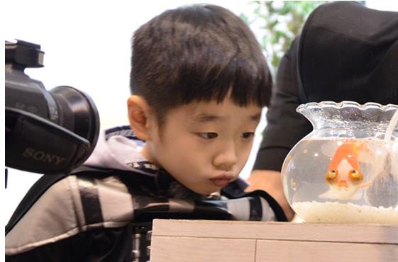 韩娱看重中国市场吗,韩娱综艺哪里看