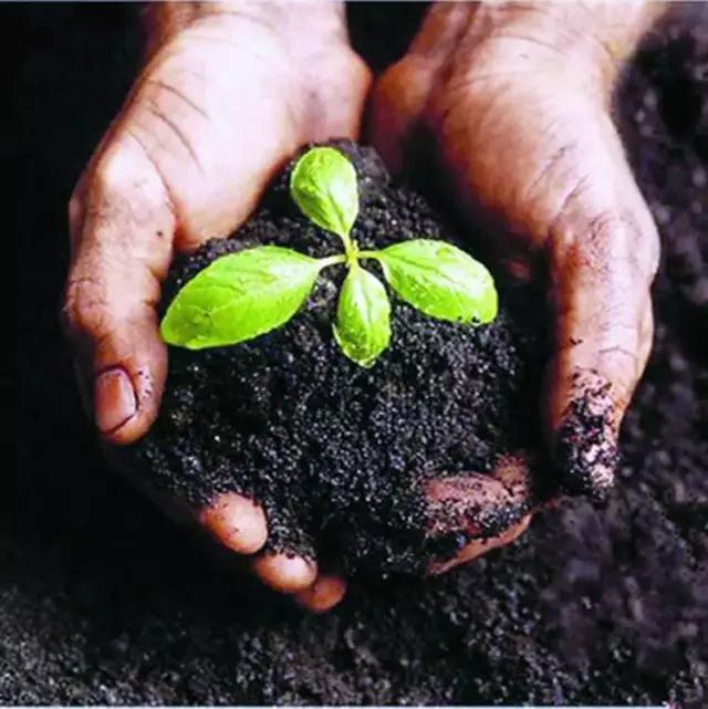 消费者受到侵害该怎么样维权,以此为鉴怎么解释