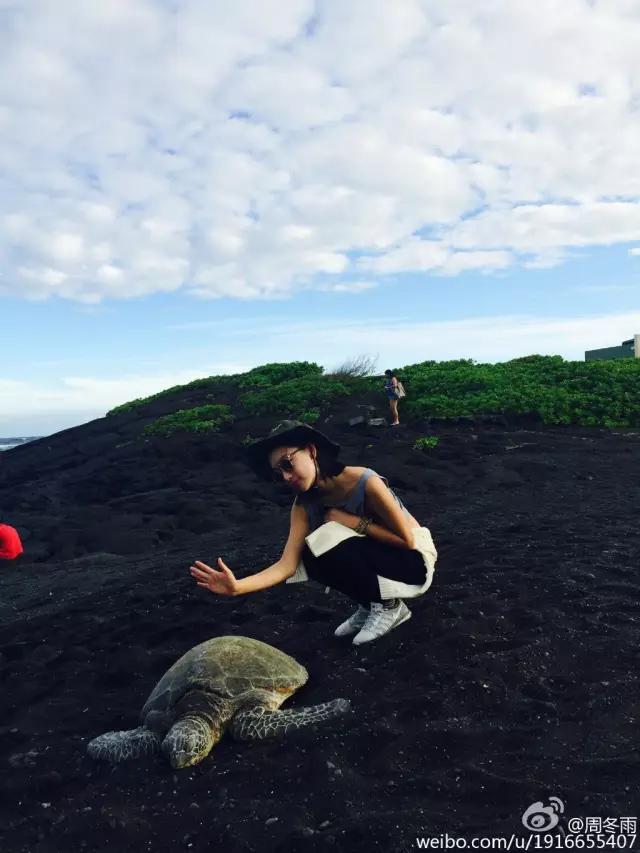 明星为了躲避狗仔都用了哪些绝招,为了躲狗仔的明星有哪些