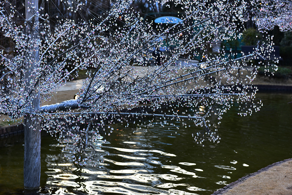 箱根，在玻璃与木头里寻觅艺术