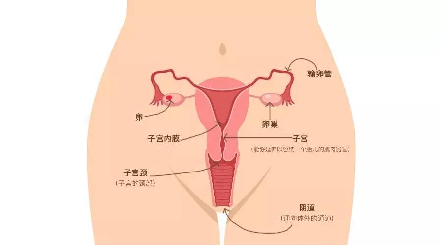 她们都存了，就差你了！