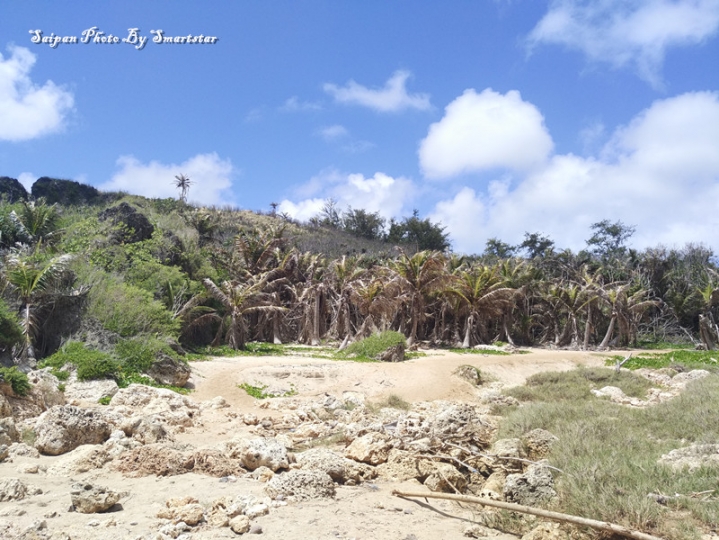 去塞班岛看海，带着小米NotePro和小蚁运动相机就足够了
