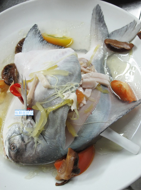 唐朝人为什么要将鲳鱼称为“狗瞌睡鱼”？六种鲳鱼你认识几种？