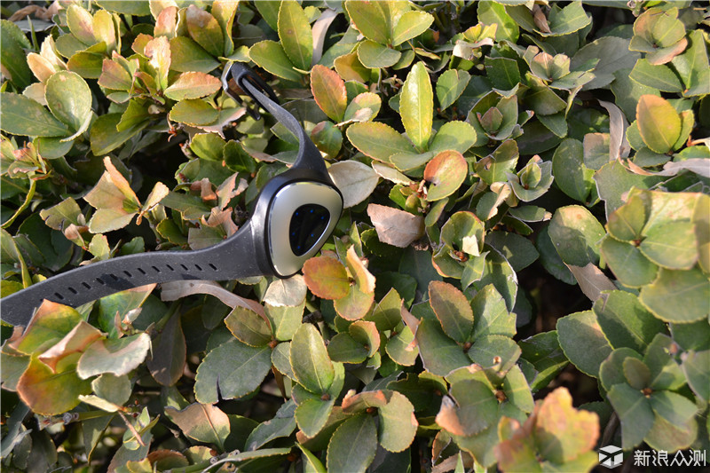 你的私人专属运动教练，wecoachpro手环体验