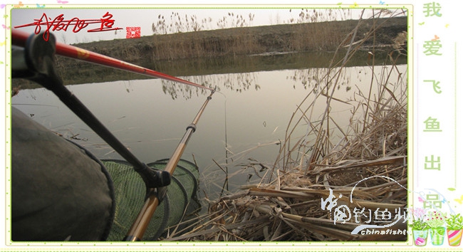 2016之我爱飞鱼觅得好钓点