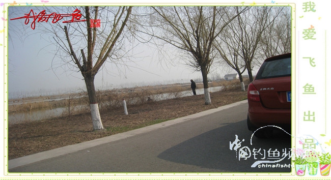 2016之我爱飞鱼觅得好钓点