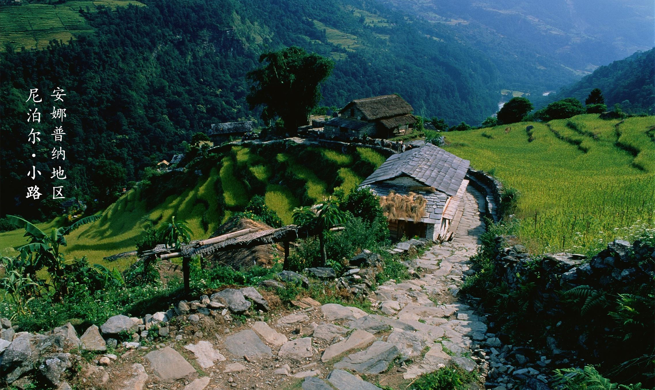 尼泊尔漫游日记(Day2),记录一个真实隐秘的山南朝朝圣地