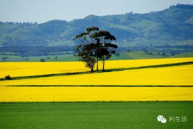 ppt技巧揭秘这些功能您会使用了吗,ppt附加文件