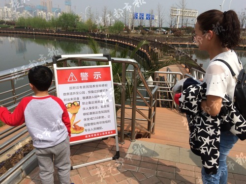 九祥岭湿地公园蛇出没,武汉森林公园蛇
