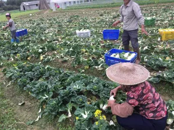 必须曝光这家店,寻味广东东莞30年老字号名店
