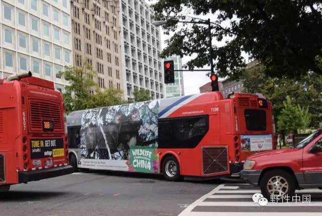 奚志农带队－10天9晚不丹之旅，4月24日出发