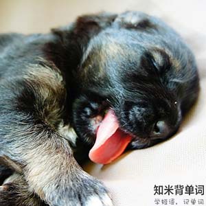 世界睡眠日您睡得还好吗,世界睡眠日揭秘聪明的人都睡得少