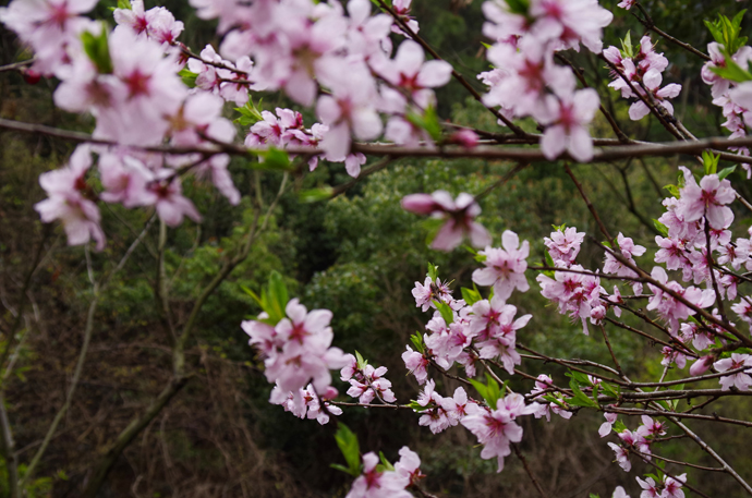 苏州穹窿山景区风景,苏州穹窿山半山腰