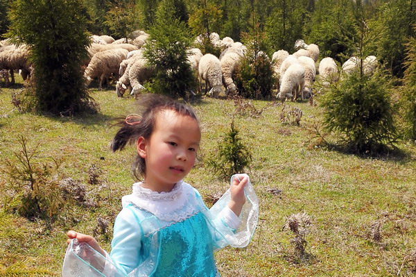 个旧老阴山玻璃栈道购票,个旧老阴山草场
