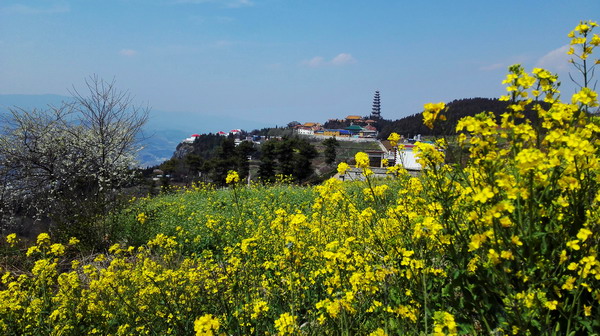 个旧老阴山玻璃栈道购票,个旧老阴山草场