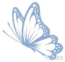 世界上最美的八大蝴蝶之一蓝闪蝶,世界上最美的蝴蝶前十名