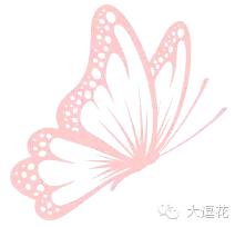 世界上最美的八大蝴蝶之一蓝闪蝶,世界上最美的蝴蝶前十名