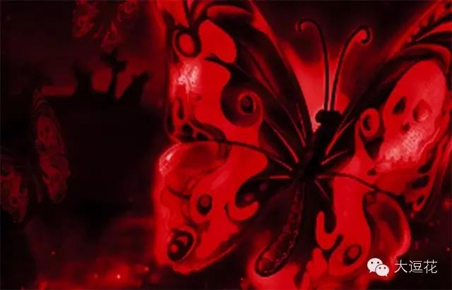 世界上最美的八大蝴蝶之一蓝闪蝶,世界上最美的蝴蝶前十名