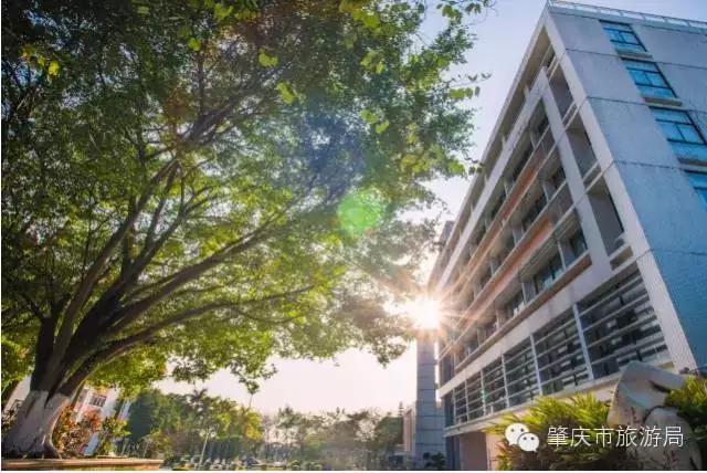 广东肇庆景色很好的大学,肇庆学院风景湖