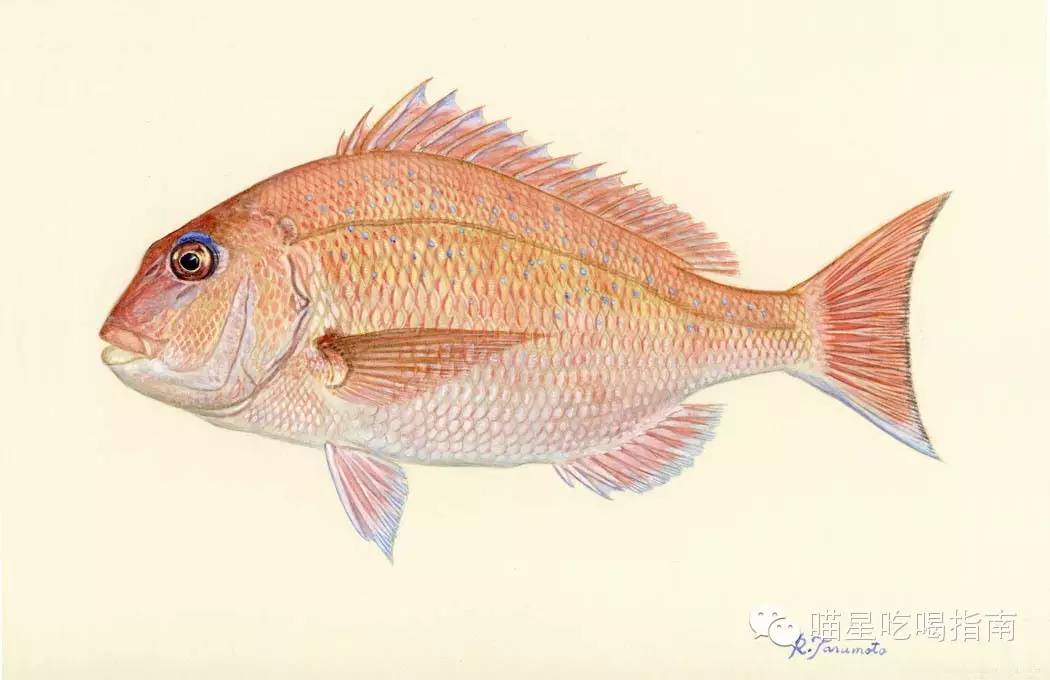 来一口甜口味的春天,来一口春天的味道