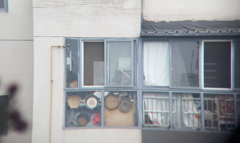 舜光12倍迷你单筒望远镜,舜光ed12x42双筒望远镜