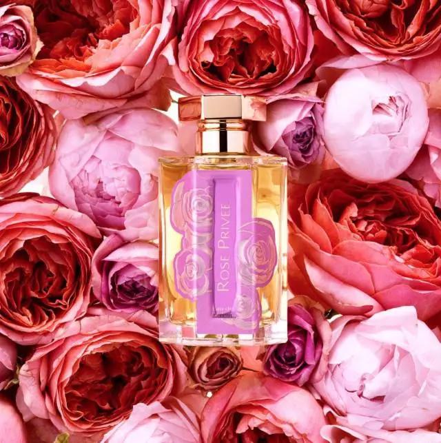 dior哪几款香水值得收藏,香奈儿和dior香水哪个档次高