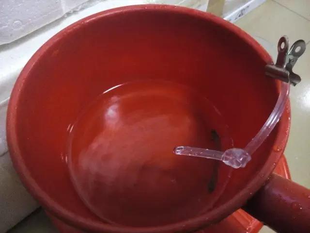 开缸的日记,开缸日记小鱼缸