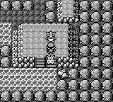 带你重温旧梦视频,祝福宠物小精灵20周年纪念日