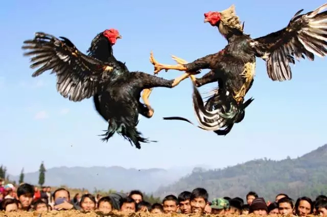 2018年瑞丽泼水节采花点,2018年德宏州瑞丽泼水节