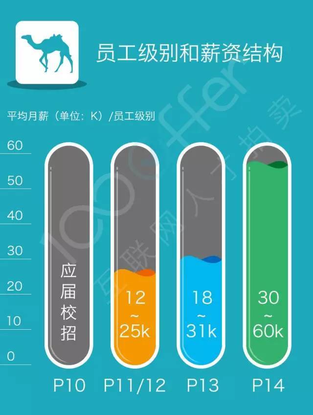 大数据:美团去哪儿奇虎360独角兽公司技术薪资分析