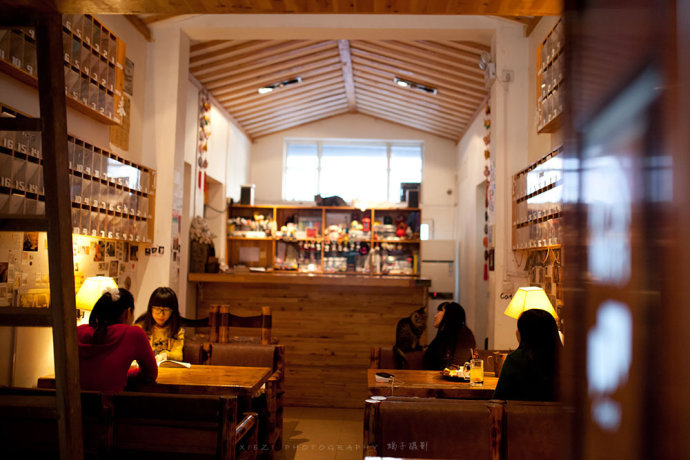 西安还有这么一个地方可以让你被猫咪围绕，享受当铲屎官的感觉