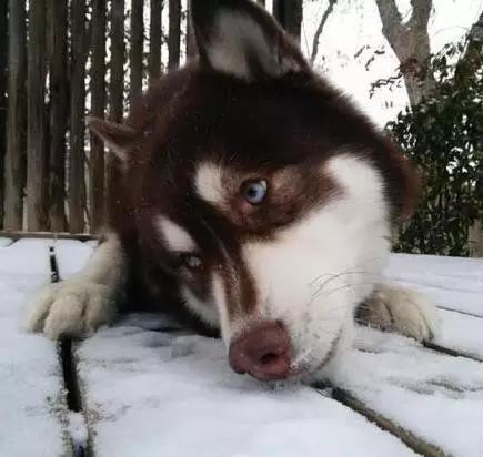 华阳小学热门学区房大盘点,突破每平10万只为名校买单