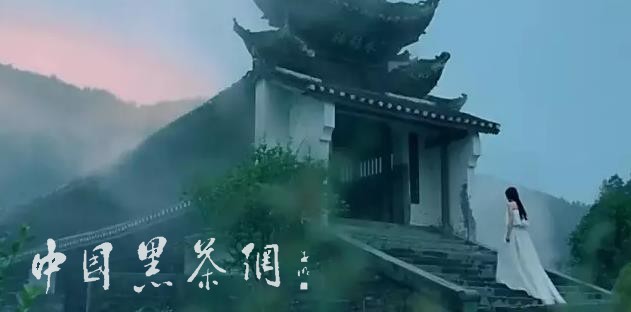 世博茶叶,中国十大世博名茶