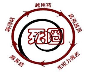 企业的核心竞争力哪些维度,企业的核心竞争力是什么