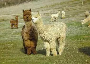 在随州买房需要什么东西,在随州买一套房办下来得多少钱