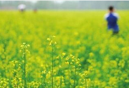 无锡周边一日游免费,无锡周边一日游团