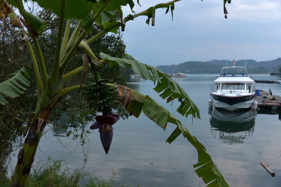 台湾租机车环岛条件,台湾骑行环岛租摩托车多少钱