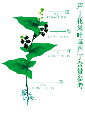 鑻﹁崬绉戞櫘鐭ヨ瘑,绉戞櫘鑻﹁崬
