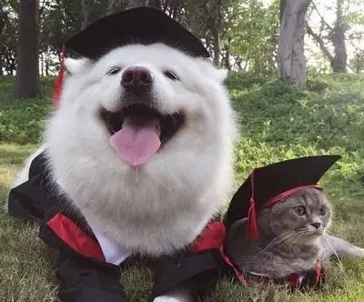 一个售楼员的奇葩经历,售楼员的自述